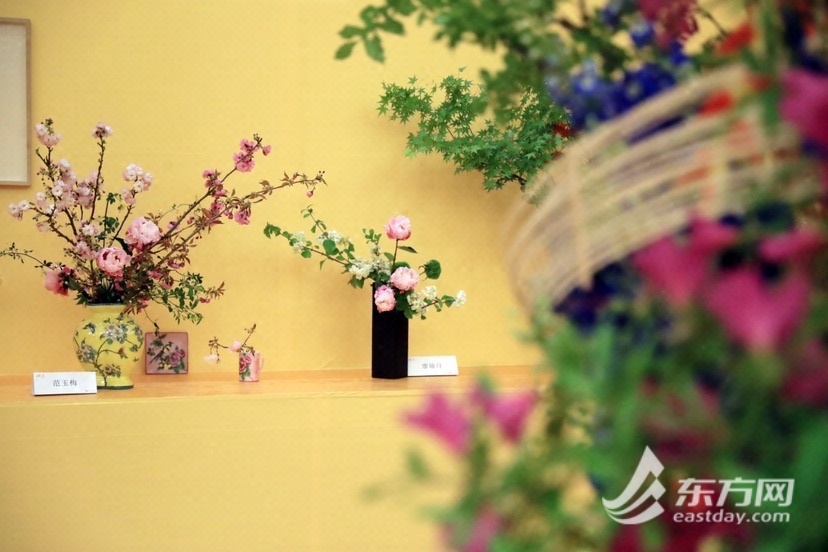 
北大第一医院黄牛代挂号电话票贩子号贩子网上预约挂号,住院检查加快,游春祈福 ，“插花书画作品联展”在玉佛禅寺举行