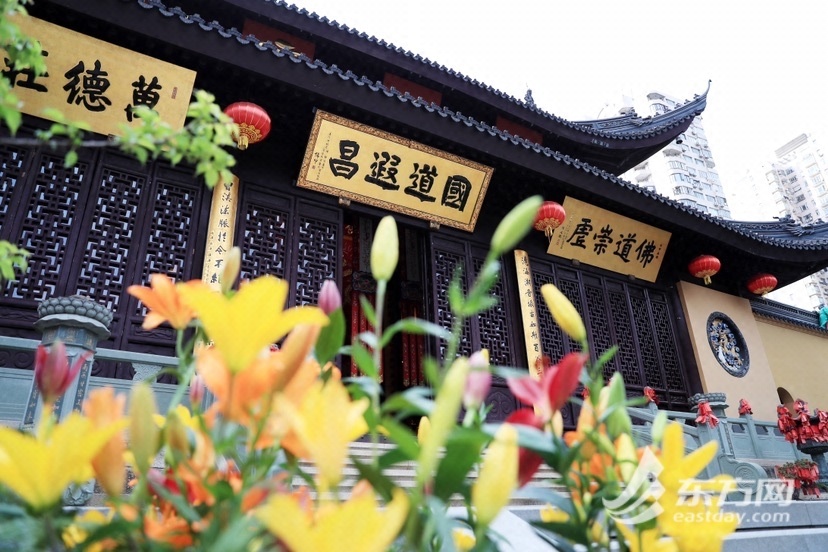
北大第一医院黄牛代挂号电话票贩子号贩子网上预约挂号,住院检查加快,游春祈福 ，“插花书画作品联展”在玉佛禅寺举行