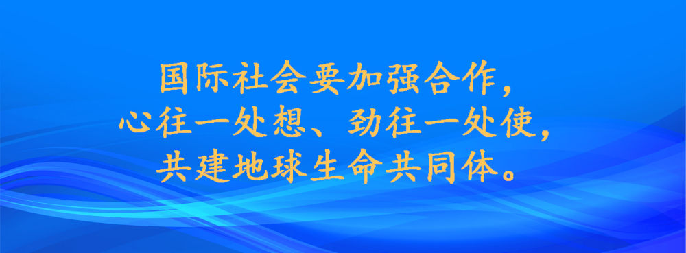 
北京同仁医院黄牛代挂号电话票贩子号贩子网上预约挂号,住院检查加快,镜观·领航丨共建地球生命共同体 共建清洁美丽世界