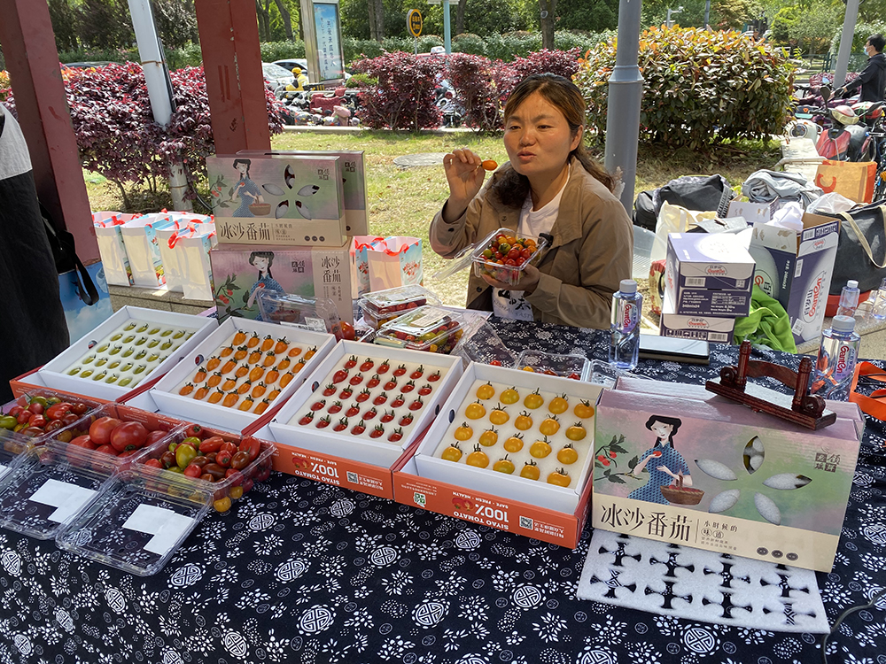 
北京天坛医院黄牛代挂号电话票贩子号贩子网上预约挂号,住院检查加快,2023上海金山番茄节拉开帷幕，将持续到6月11日