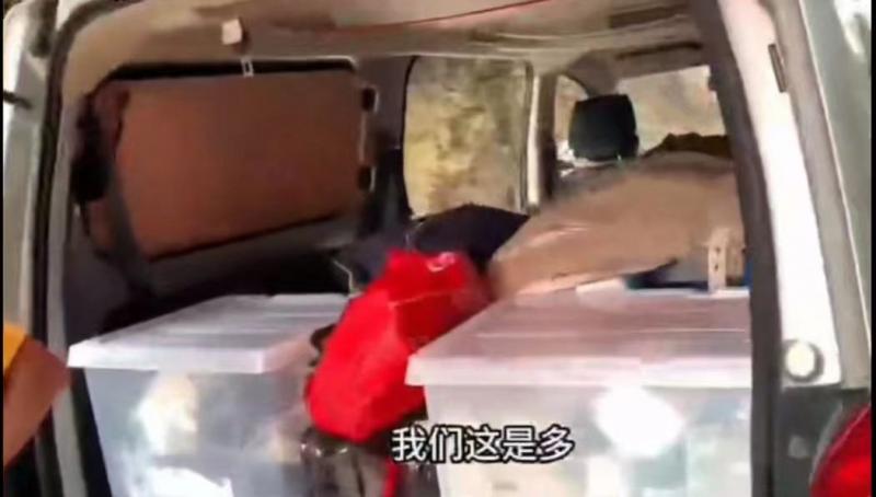 上海各大医院黄牛代挂号电话票贩子号贩子网上预约挂号,住院检查加快,网友自驾游携带大量生活用品被查,交警:人货混装,批评教育
