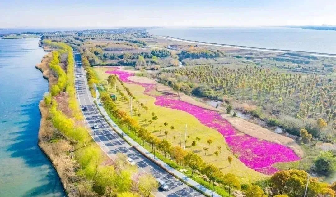 阳澄湖8.jpeg 图片