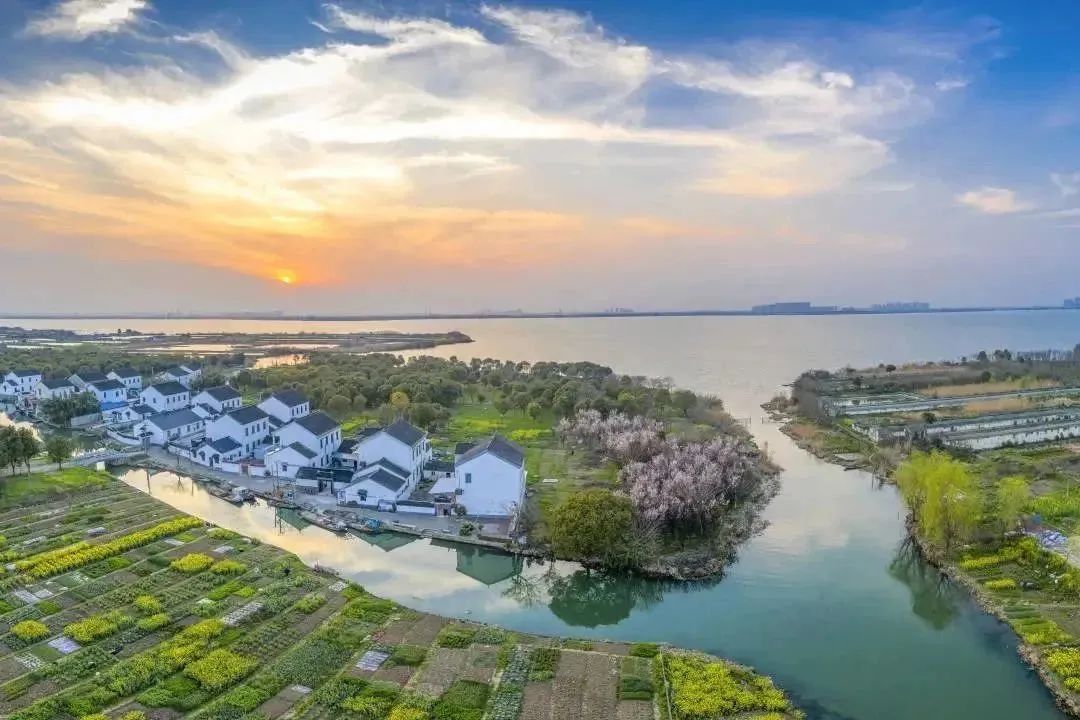 阳澄湖9.jpeg 图片