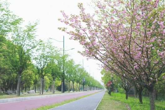 
江苏省人民医院黄牛代挂号电话票贩子号贩子网上预约挂号,住院检查加快,金海春日骑行地图来了，一“骑”来打卡！