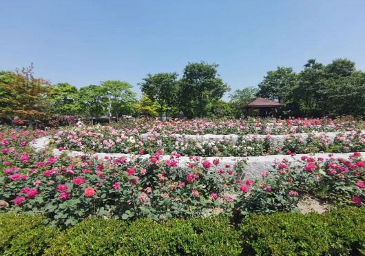
中山大学孙逸仙纪念医院黄牛代挂号电话票贩子号贩子网上预约挂号,住院检查加快,“五一”假期，来宝山享受郊野乡村的慢时光