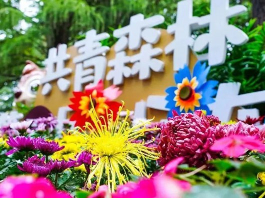 
北京302医院黄牛代挂号电话票贩子号贩子网上预约挂号,住院检查加快,沪上与公园同名的地铁站，你知道几个？