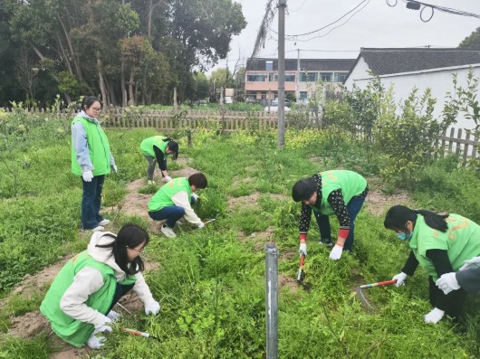
中国中医科学院眼科医院黄牛代挂号电话票贩子号贩子网上预约挂号,住院检查加快,劳动最光荣！奏响人居环境优化“春之曲”，西渡街道村庄清洁正当时