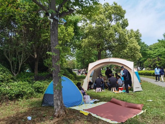 
南京眼科医院黄牛代挂号电话票贩子号贩子网上预约挂号,住院检查加快,一顶帐篷一片天，淀山湖旁露营人气旺~警方提醒：亲近自然勿忘安全！