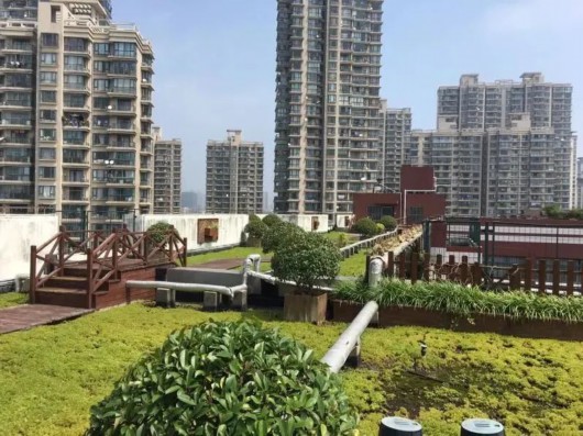 
沈阳医大一院黄牛代挂号电话票贩子号贩子网上预约挂号,住院检查加快,“高高在上”的美丽！打卡长宁这些“空中花园”