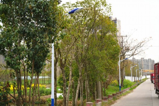 
杭州市妇幼保健院黄牛代挂号电话票贩子号贩子网上预约挂号,住院检查加快,220盏！暖心路灯照亮村民回家路
