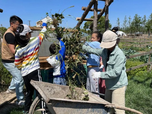 
天津各大医院黄牛代挂号电话票贩子号贩子网上预约挂号,住院检查加快,小长假体验“向往的生活”，在奉贤变身农场的“共建者”