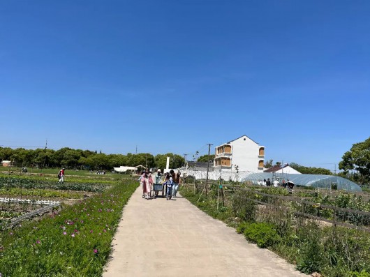 
天津各大医院黄牛代挂号电话票贩子号贩子网上预约挂号,住院检查加快,小长假体验“向往的生活”，在奉贤变身农场的“共建者”