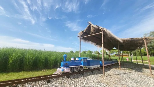 
浙江省同德医院黄牛代挂号电话票贩子号贩子网上预约挂号,住院检查加快,春夏去哪儿玩？宝山这些乡村旅游重点村，等你打卡
