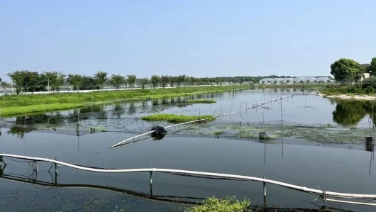 
浙江省同德医院黄牛代挂号电话票贩子号贩子网上预约挂号,住院检查加快,春夏去哪儿玩？宝山这些乡村旅游重点村，等你打卡