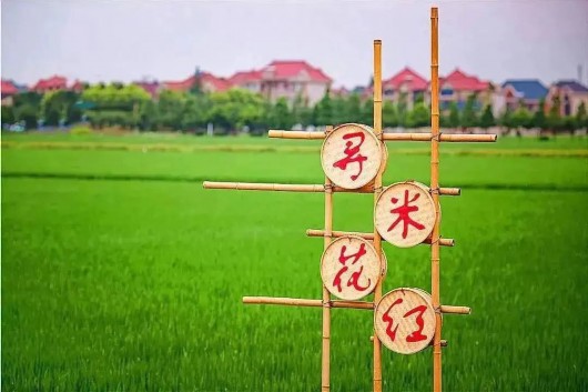 
浙江省同德医院黄牛代挂号电话票贩子号贩子网上预约挂号,住院检查加快,春夏去哪儿玩？宝山这些乡村旅游重点村，等你打卡