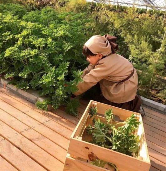 
浙江省同德医院黄牛代挂号电话票贩子号贩子网上预约挂号,住院检查加快,春夏去哪儿玩？宝山这些乡村旅游重点村，等你打卡