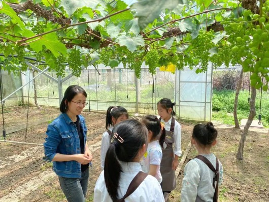 
天津各大医院黄牛代挂号电话票贩子号贩子网上预约挂号,住院检查加快,马陆葡萄主题公园开园啦！葡萄啥时候熟？