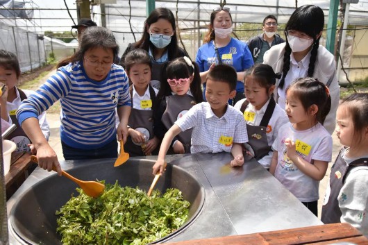 
天津各大医院黄牛代挂号电话票贩子号贩子网上预约挂号,住院检查加快,马陆葡萄主题公园开园啦！葡萄啥时候熟？
