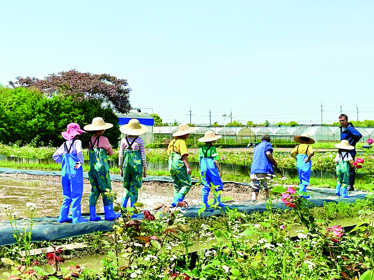 
南京明基医院黄牛代挂号电话票贩子号贩子网上预约挂号,住院检查加快,农事体验欢乐多 田间课堂助成长
