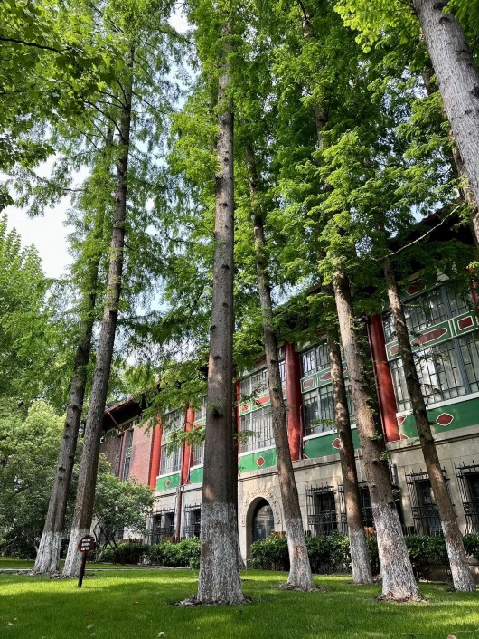
上海第十人民医院黄牛代挂号电话票贩子号贩子网上预约挂号,住院检查加快,“苏河明珠”华东政法大学推出定制主题文化线路