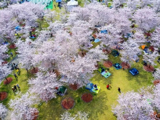 
北京大学第三医院黄牛代挂号电话票贩子号贩子网上预约挂号,住院检查加快,【探索】盘点沪上与公园同名的地铁站，体验地铁直达的游园快乐~