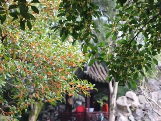 
北京大学第三医院黄牛代挂号电话票贩子号贩子网上预约挂号,住院检查加快,【探索】盘点沪上与公园同名的地铁站，体验地铁直达的游园快乐~