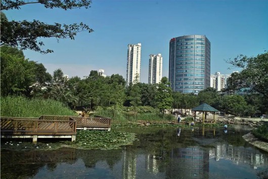 
北京大学第三医院黄牛代挂号电话票贩子号贩子网上预约挂号,住院检查加快,【探索】盘点沪上与公园同名的地铁站，体验地铁直达的游园快乐~