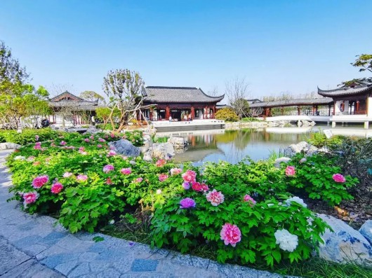 
空军特色医学中心黄牛代挂号电话票贩子号贩子网上预约挂号,住院检查加快,藏不住了！这个“园中园”别有洞天