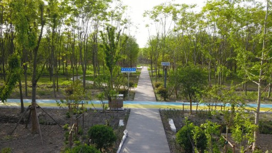 
东部战区总医院黄牛代挂号电话票贩子号贩子网上预约挂号,住院检查加快,可休闲、健身、露营...青浦家门口打卡又添新去处！