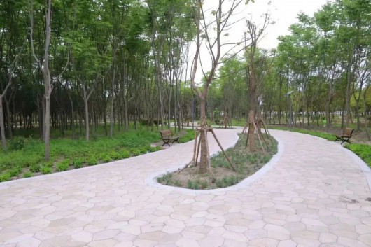 
东部战区总医院黄牛代挂号电话票贩子号贩子网上预约挂号,住院检查加快,可休闲、健身、露营...青浦家门口打卡又添新去处！