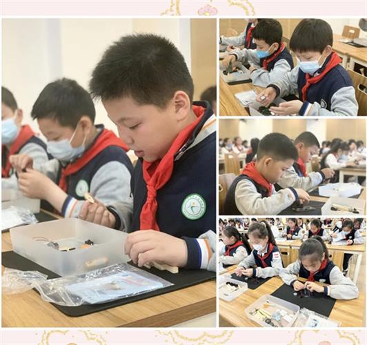 WDCM上传图片 WDCM上传图片