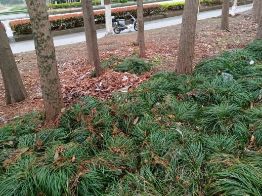 
首都医科大学附属北京妇产医院黄牛代挂号电话票贩子号贩子网上预约挂号,住院检查加快,村庄清洁在行动！柘林镇扮靓农村人居环境“高颜值”