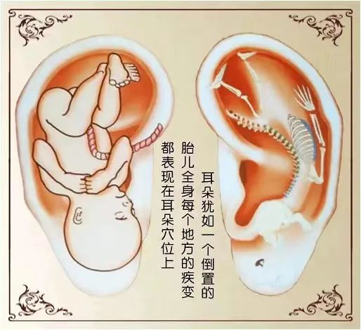 
北京阜外医院黄牛代挂号电话票贩子号贩子网上预约挂号,住院检查加快,耳穴压丸之感冒治疗篇丨杏林之声