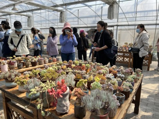 
南京鼓楼医院黄牛代挂号电话票贩子号贩子网上预约挂号,住院检查加快,薪火相传，展望未来！他们在青春赛道上奋力奔跑