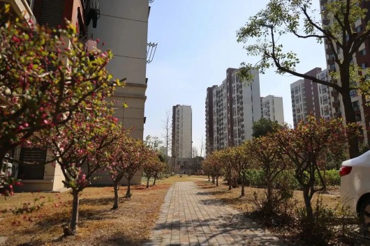 
中山大学附属第三医院黄牛代挂号电话票贩子号贩子网上预约挂号,住院检查加快,房型多、配套全、近轨交！这里的动迁安置基地圈出“新居”美好生活