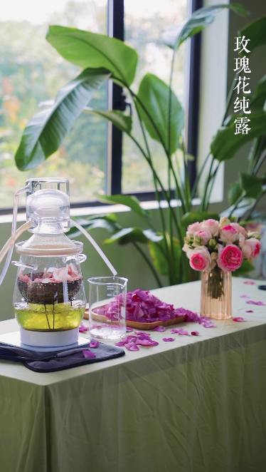 
南京鼓楼医院黄牛代挂号电话票贩子号贩子网上预约挂号,住院检查加快,邂逅青浦二十四食丨满园花浅繁，乘清香入夏
