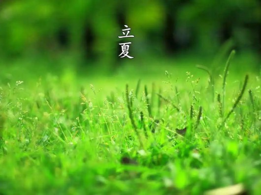 
浙江大学儿童医院黄牛代挂号电话票贩子号贩子网上预约挂号,住院检查加快,节气好“食”光 · 立夏 | 杏林之声