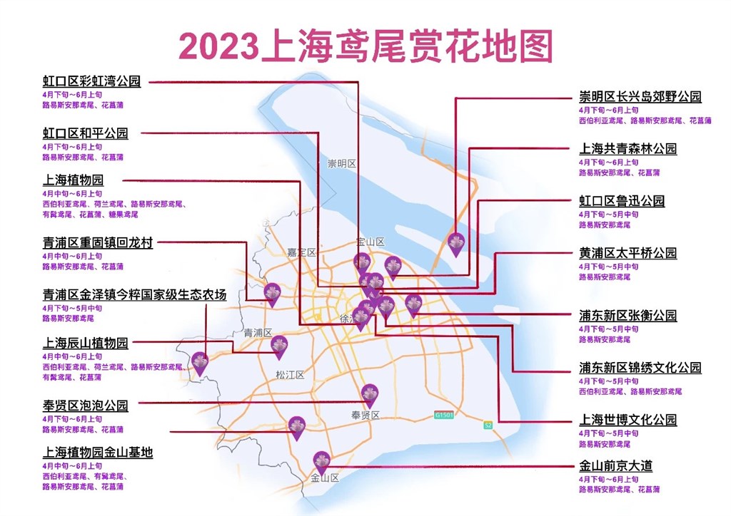 
杭州市七医院黄牛代挂号电话票贩子号贩子网上预约挂号,住院检查加快,上海鸢尾文化节开幕 全城赏花地图出炉