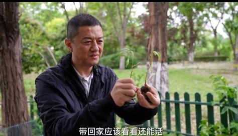 
北京朝阳医院黄牛代挂号电话票贩子号贩子网上预约挂号,住院检查加快,李亚鹏别墅种菜被物业警告，网友质疑：公共绿地成“自家小院”？
