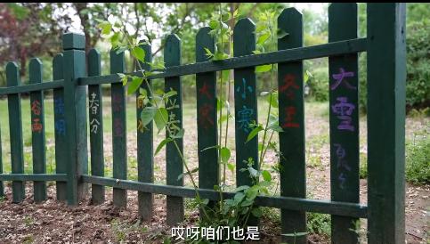 
北京朝阳医院黄牛代挂号电话票贩子号贩子网上预约挂号,住院检查加快,李亚鹏别墅种菜被物业警告，网友质疑：公共绿地成“自家小院”？
