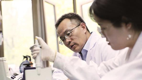 
浙江大学妇产科医院黄牛代挂号电话票贩子号贩子网上预约挂号,住院检查加快,把“科研论文”变成“一流新药”