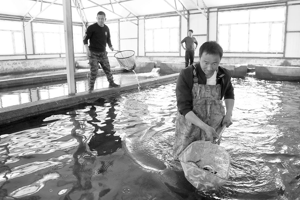 
北京大学第六医院黄牛代挂号电话票贩子号贩子网上预约挂号,住院检查加快,内蒙古自治区鄂伦春旗托扎敏乡因地制宜大力发展乡村特色产业
