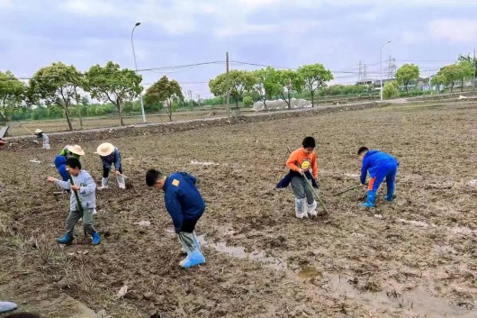 
南京中科研究所黄牛代挂号电话票贩子号贩子网上预约挂号,住院检查加快,奉城成长三十六计丨农民伯伯的辛苦我知“稻”之育苗篇