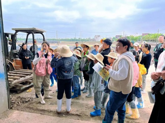 
南京中科研究所黄牛代挂号电话票贩子号贩子网上预约挂号,住院检查加快,奉城成长三十六计丨农民伯伯的辛苦我知“稻”之育苗篇