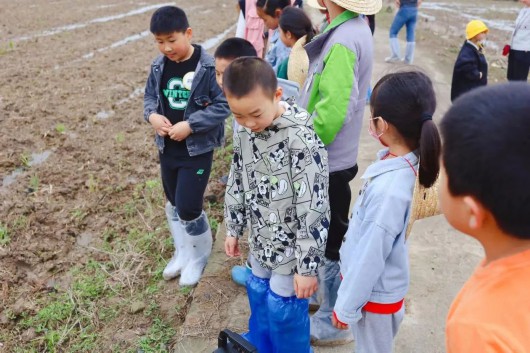 
南京中科研究所黄牛代挂号电话票贩子号贩子网上预约挂号,住院检查加快,奉城成长三十六计丨农民伯伯的辛苦我知“稻”之育苗篇