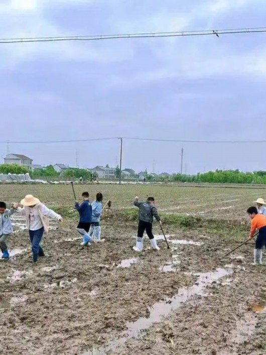 
南京中科研究所黄牛代挂号电话票贩子号贩子网上预约挂号,住院检查加快,奉城成长三十六计丨农民伯伯的辛苦我知“稻”之育苗篇