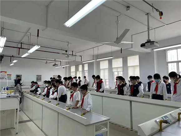 WDCM上传图片 WDCM上传图片