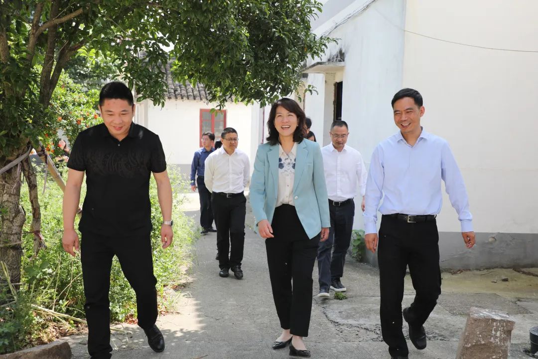 围绕全域土地综合整治,区领导深入金泽镇商榻片区开展专题调研