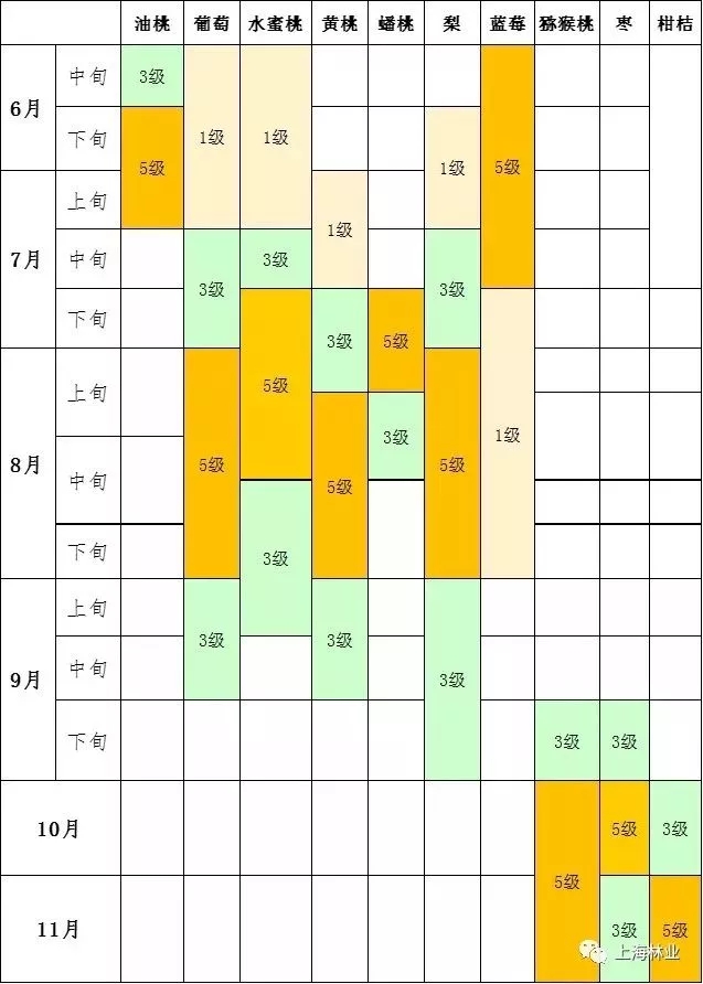 注:按果品适宜采摘期分1\3\5等级,等级数高表示该时间段果品数量多、风味佳。