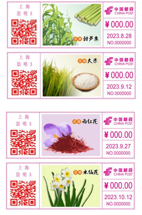 20230829160303067875.jpg 今日发行!有人一大早从市区赶来崇明购买!5.jpg